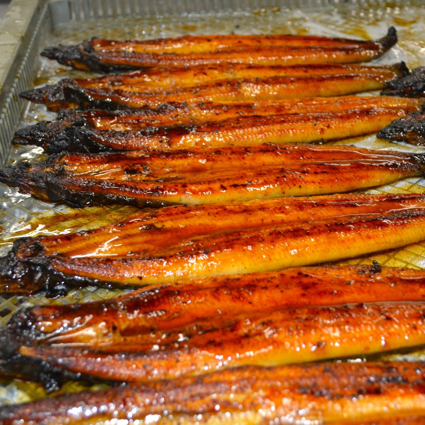 鹿児島県産うなぎ蒲焼2尾と肝串5本コンビ
