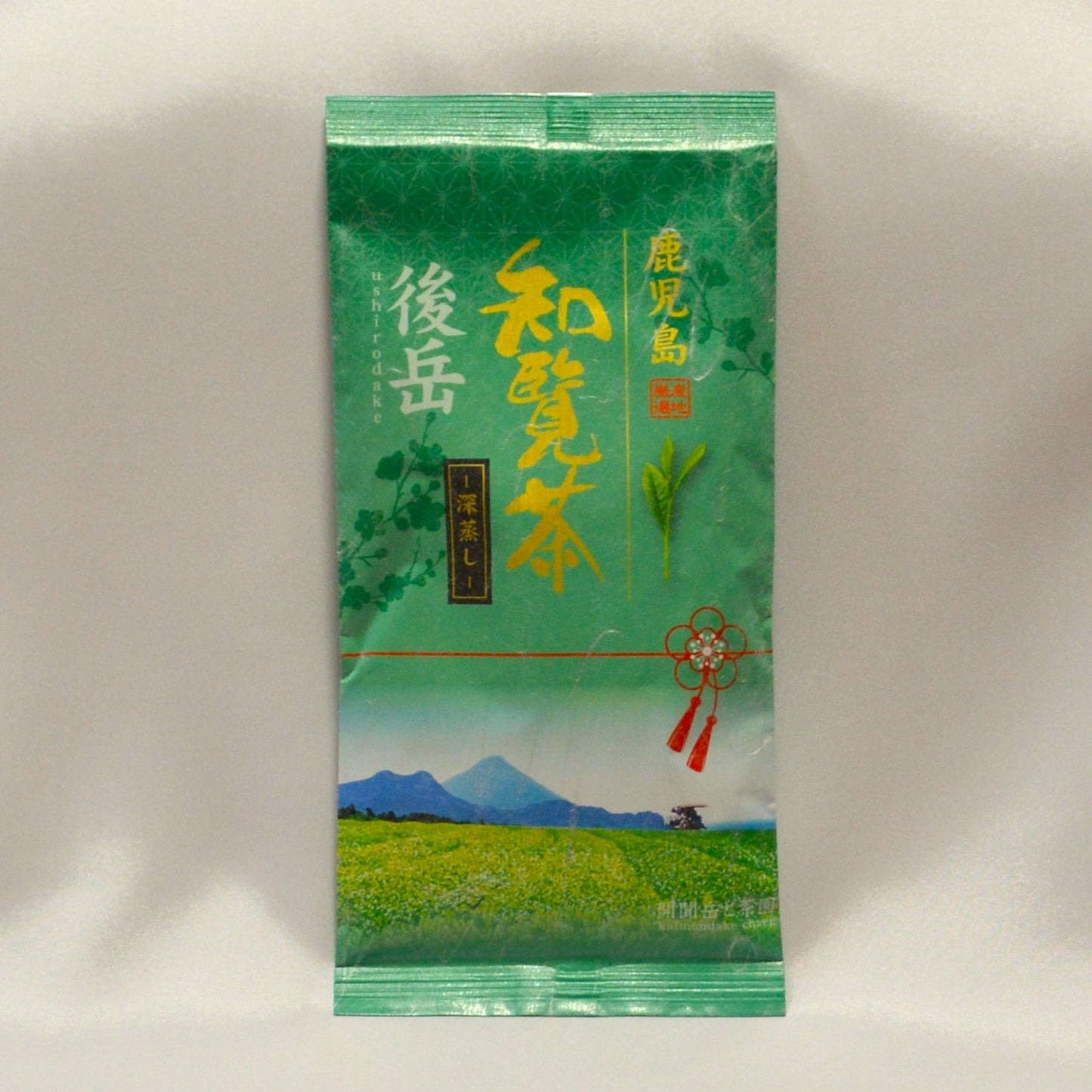 0103 知覧茶後岳 開聞岳
