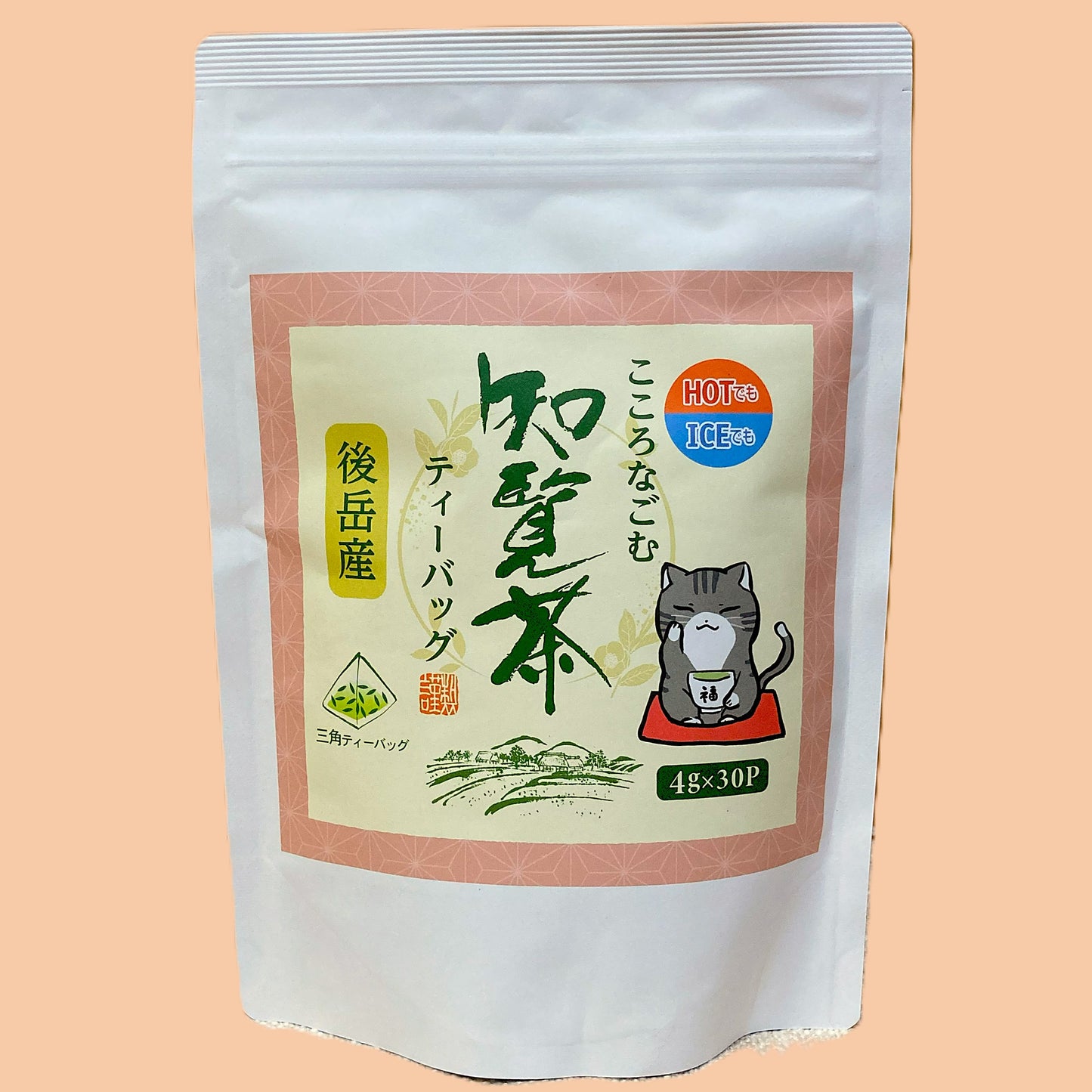 0106 知覧茶後岳 ラッキーのティーバッグ
