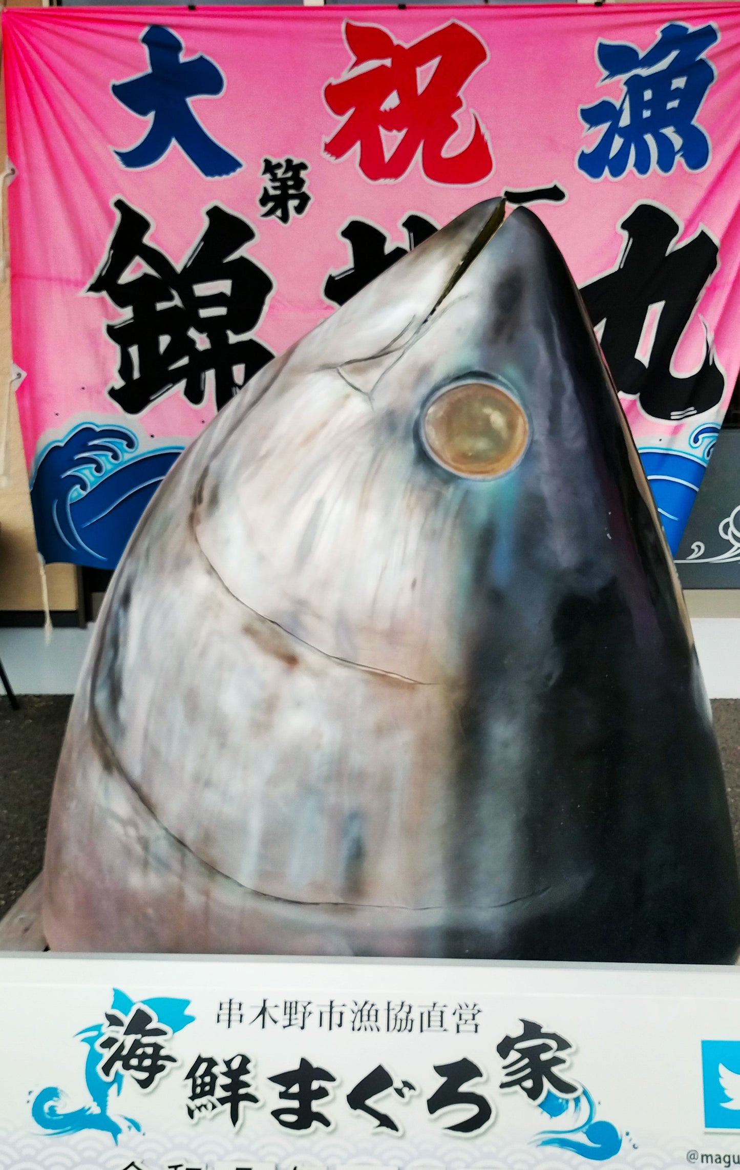 まぐろ屋の極上南まぐろフルセット