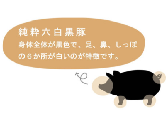 00503 黒豚ロースしゃぶ 450g