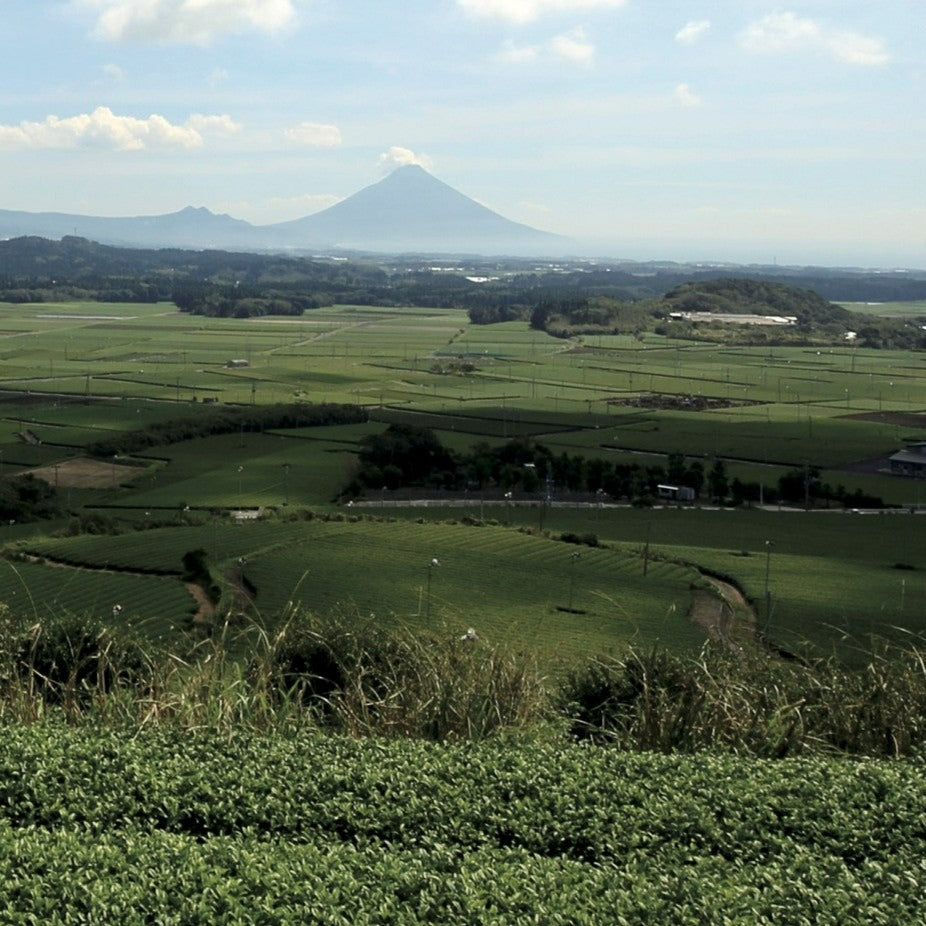 0103 知覧茶後岳 開聞岳