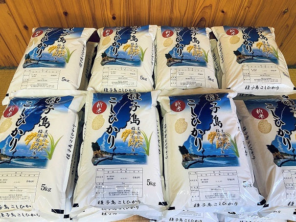 米不足