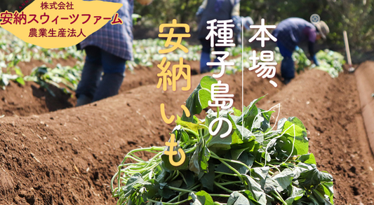 株式会社 安納スイーツファーム
