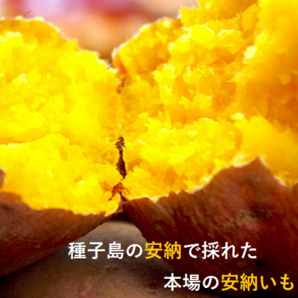 0043　種子島産　花木さんちの安納芋(紅)　Ｓ・Mサイズ３kg入