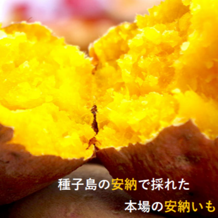 0044　種子島産　花木さんちの安納芋(紅)　Ｓ・Mサイズ５kg入