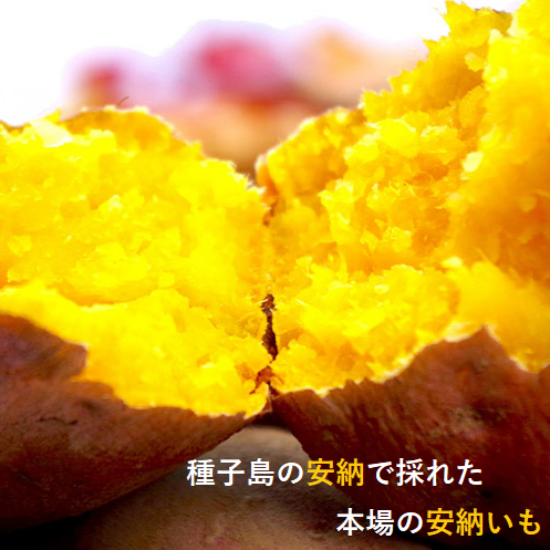 0042　種子島産　花木さんちの安納芋(紅)　 S・Mサイズ ２kg