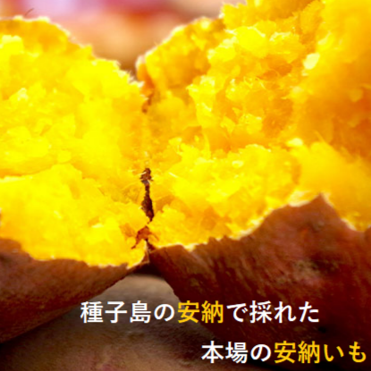 0041　種子島産　花木さんちの安納芋(紅)　 S・Mサイズ １kg入