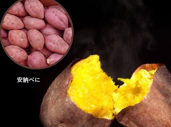 0046　種子島産　花木さんちの安納芋(紅)　 M・Lサイズ ５ kg