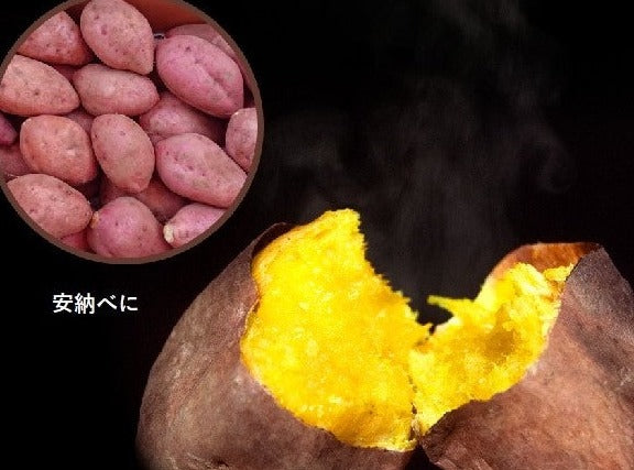 0042　種子島産　花木さんちの安納芋(紅)　 S・Mサイズ ２kg