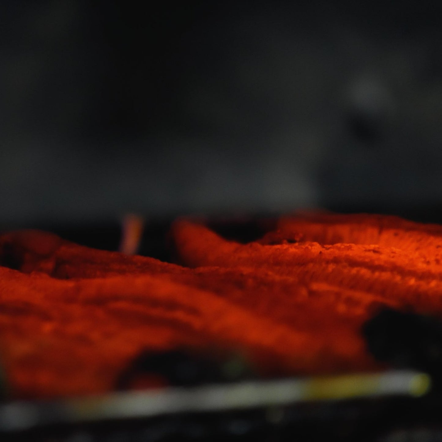 鹿児島県産うなぎの肝 串焼き蒲焼 20本