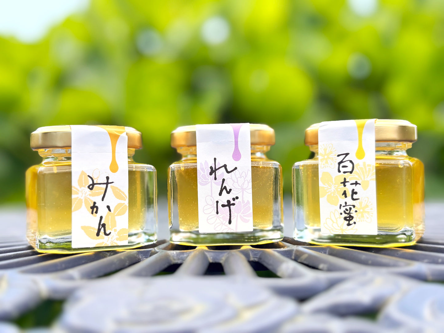 はちみつ旬のバラエティー3本セット（レンゲ・みかん・百花蜜）｜西垂水養蜂園