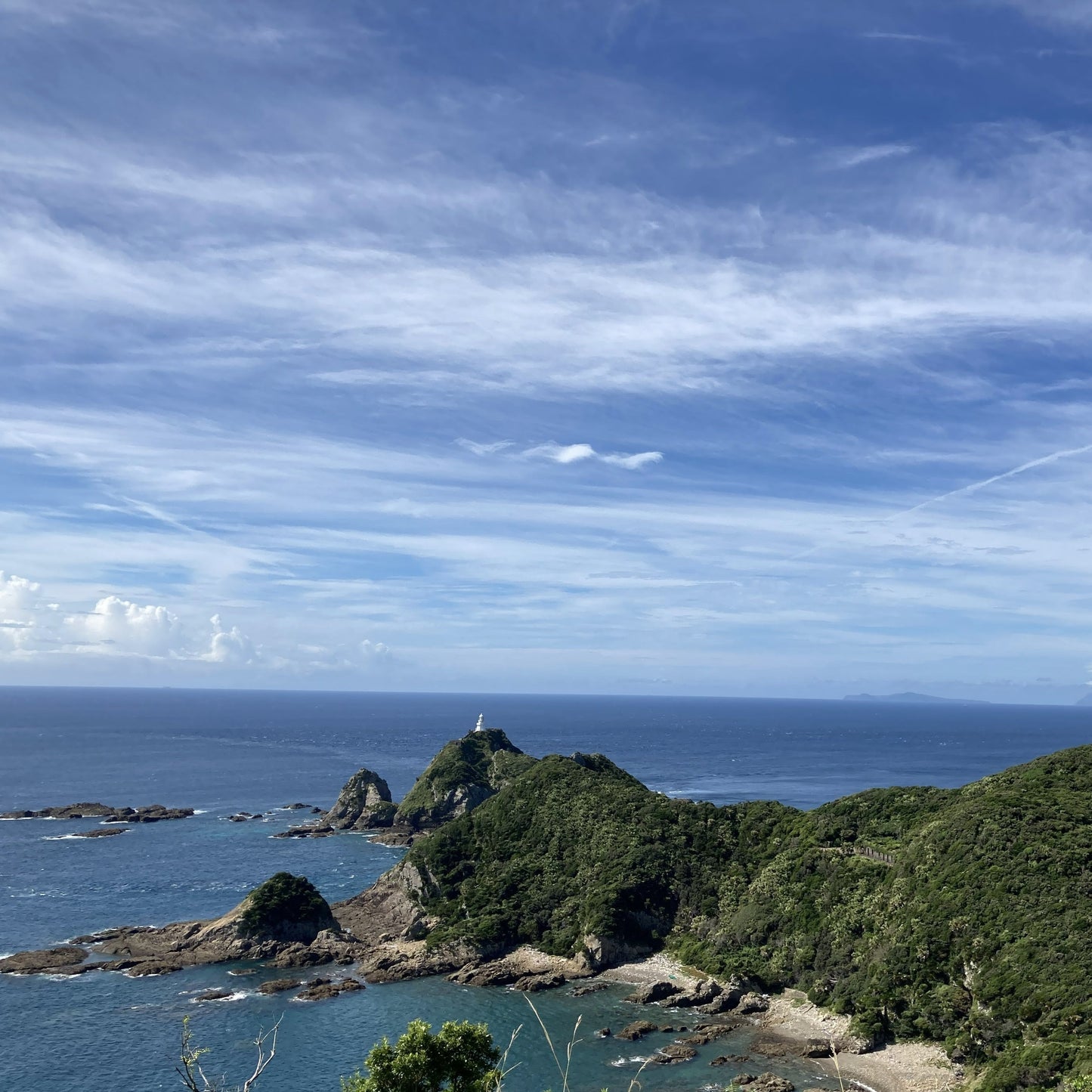 アップルマンゴー訳あり1Kg　ご家庭用（鹿児島県佐多岬産）