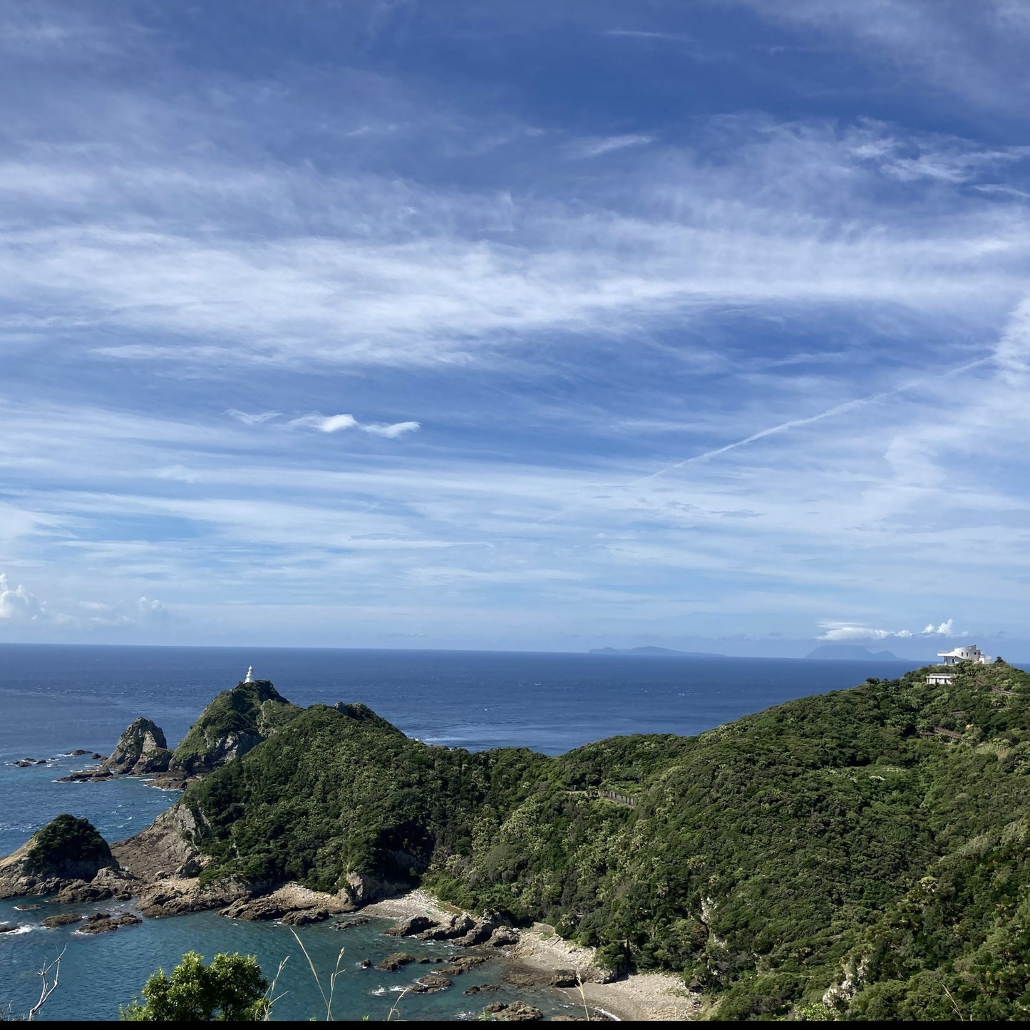 アップルマンゴー　2個（鹿児島県佐多岬産）