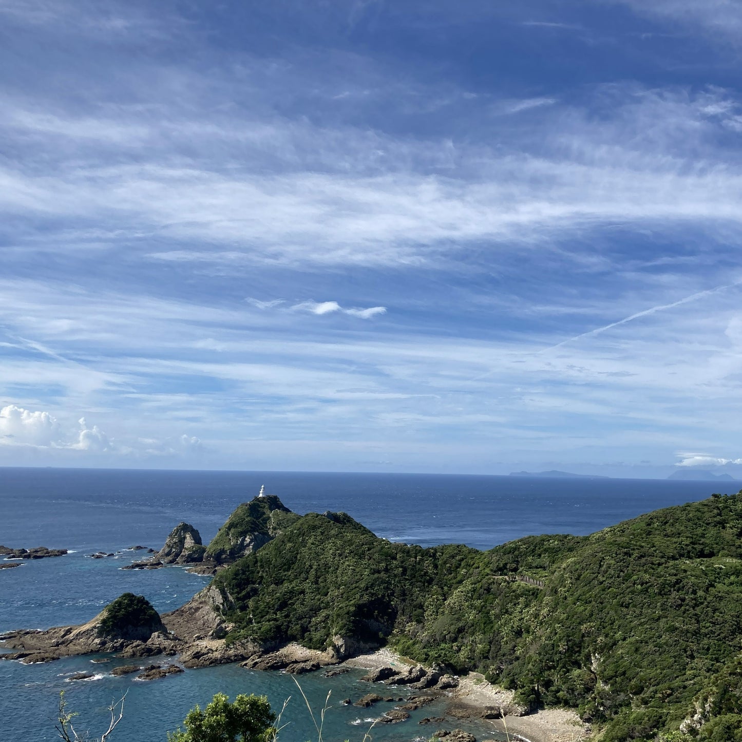 アップルマンゴー　2～3個（鹿児島県佐多岬産）