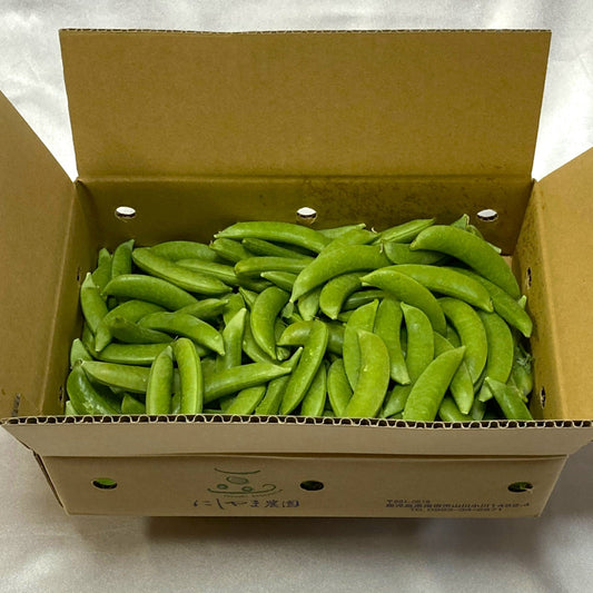 0111 西山さんのスナップエンドウ1.5㌔（指宿産）送料込み
