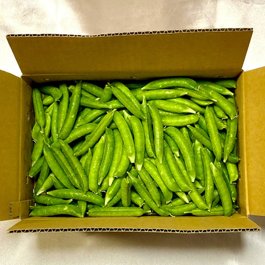 0112 西山さんのまめこぞう 1.5㌔(指宿産)送料込み