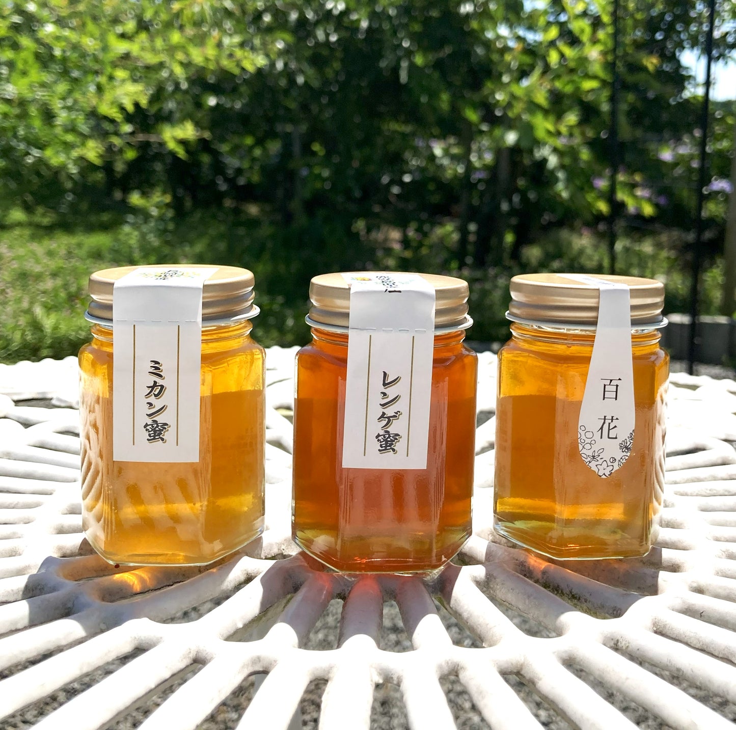 旅するはちみつ　小瓶3本セット