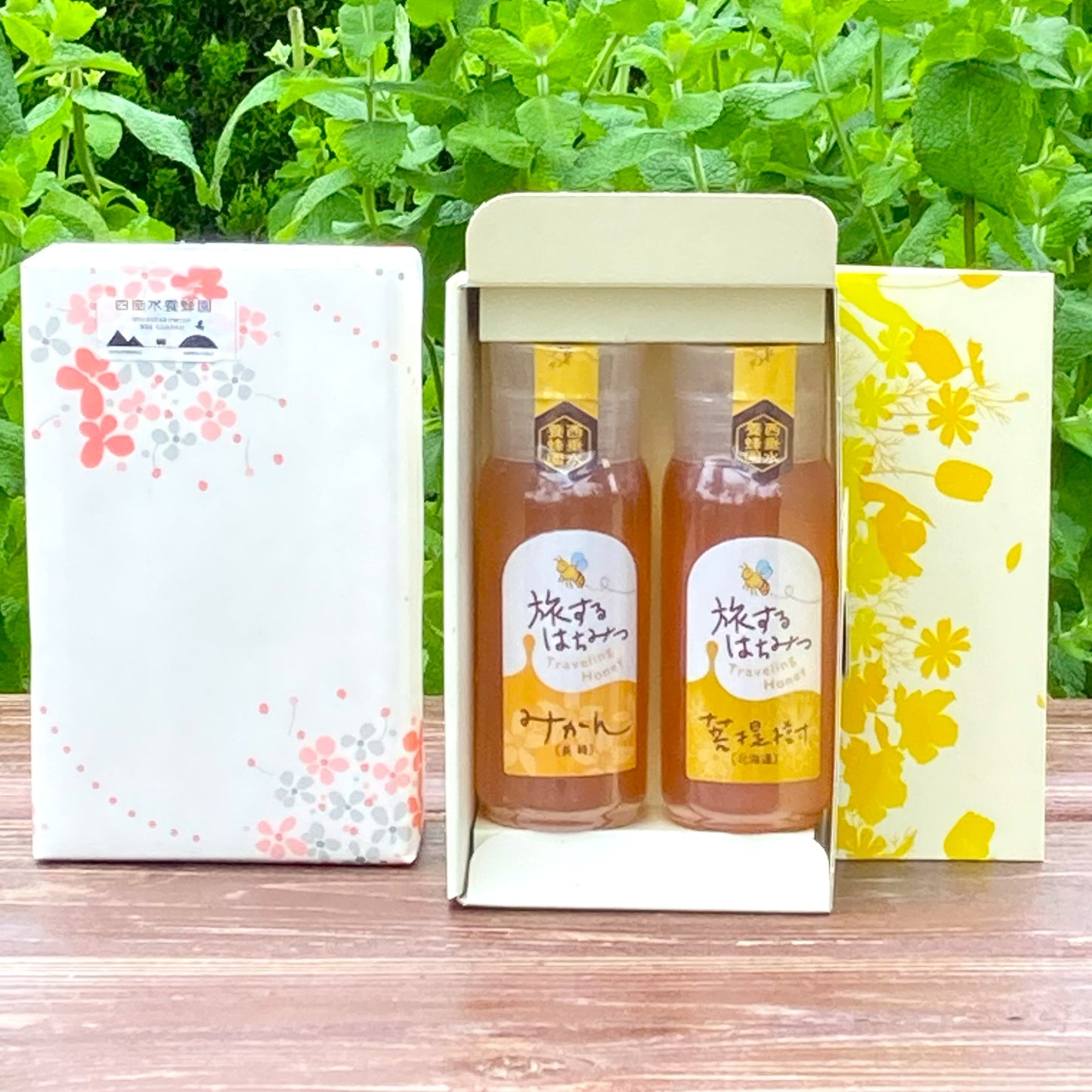 旅するはちみつ　ミカンと菩提樹蜜セット