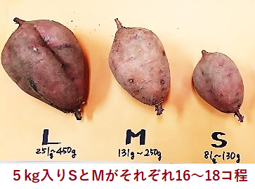 0044　種子島産　花木さんちの安納芋(紅)　Ｓ・Mサイズ５kg入