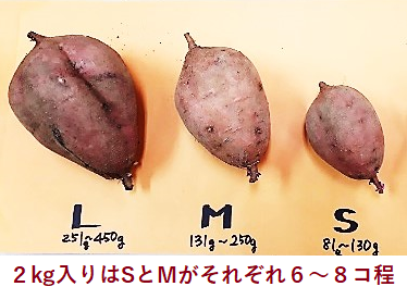 0042　種子島産　花木さんちの安納芋(紅)　 S・Mサイズ ２kg