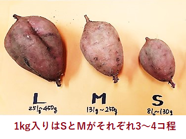 0041　種子島産　花木さんちの安納芋(紅)　 S・Mサイズ １kg入