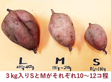 0043　種子島産　花木さんちの安納芋(紅)　Ｓ・Mサイズ３kg入