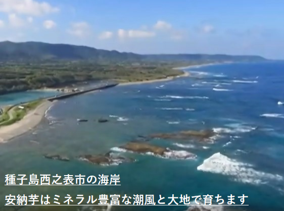 0041　種子島産　花木さんちの安納芋(紅)　 S・Mサイズ １kg入