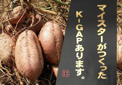 0044　種子島産　花木さんちの安納芋(紅)　Ｓ・Mサイズ５kg入