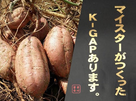 0041　種子島産　花木さんちの安納芋(紅)　 S・Mサイズ １kg入