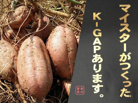 0046　種子島産　花木さんちの安納芋(紅)　 M・Lサイズ ５ kg