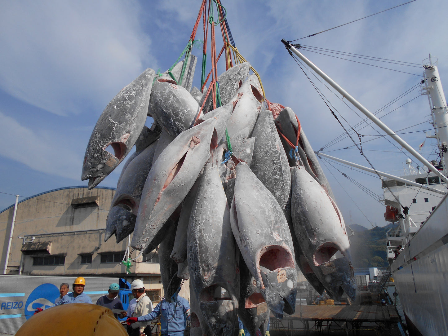 まぐろ屋の究極の天然高級マグロ約800g（木箱入り）