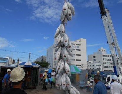 まぐろ屋の極上南まぐろフルセット